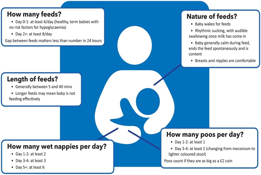 How many feeds.jpg https://drsathiya4kids.com/wp-content/uploads/2025/10/How-many-feeds.jpg.jpeg