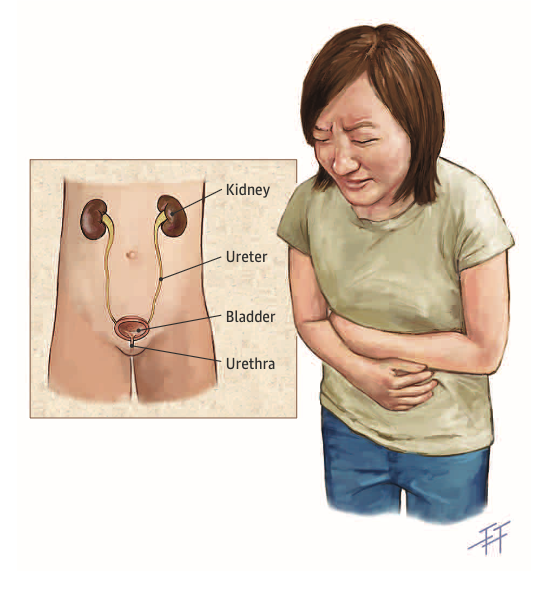 Screenshot 2025-10-06 at 5.22.00 PM https://drsathiya4kids.com/wp-content/uploads/2025/10/Screenshot-2025-10-06-at-5.22.00-PM.png